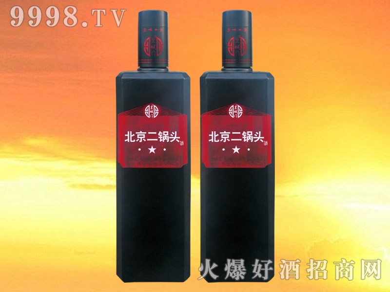 �ʳ��T(m��n)��������^��42��500ml��12����ƿ��