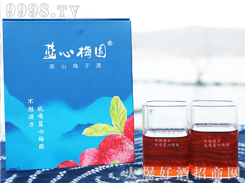 �{(l��n)��÷�@��ɽ÷�Ӿƾە�(hu��)�b8��500ml