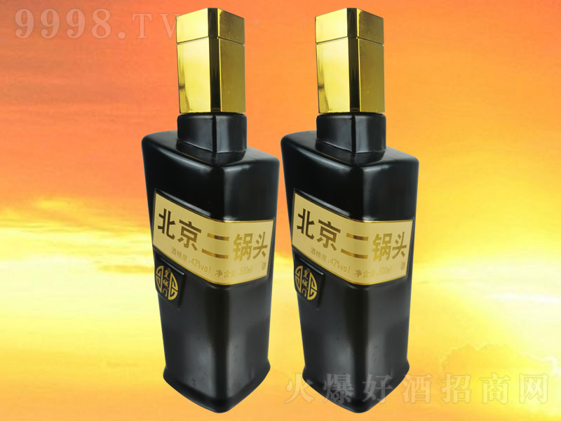 �ʳ��T(m��n)��������^�ƺ�ƿ �����Ͱ׾ơ�42�� 500ml��
