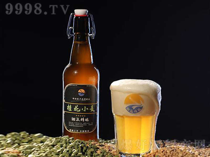 ��孾��ơ�ƹ�С����12�� 500ml��