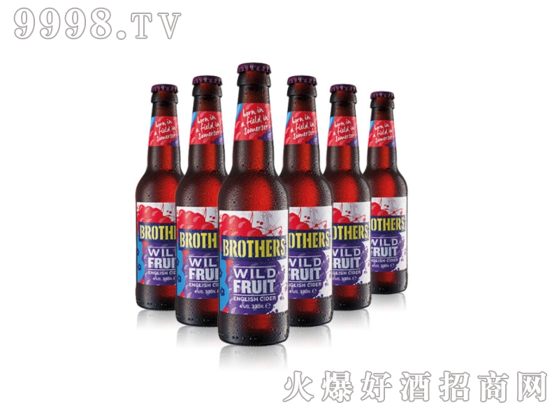 Ӣ��ԭ�b�M���ֵ�����ƹ�ζơ��330ml-ơ��������Ϣ
