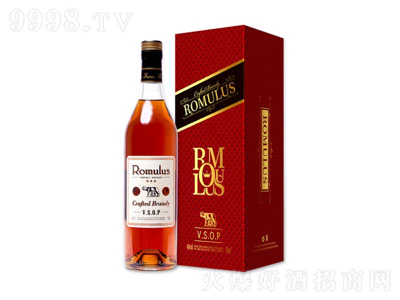 ��Ʒ���ԭƿ�M(j��n)���_Ľ·˹vsop���m�ء�40��700ml��