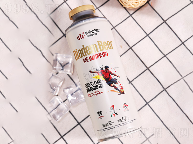 Ӣ�ʵ�ʽС�����ơ�ơ�12��500ml��