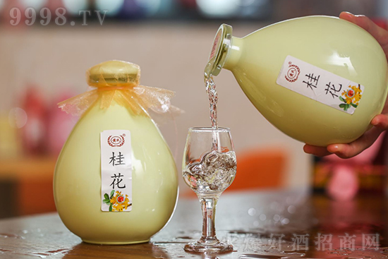 12���S�ϻ����ƃr���S�Ϲ𻨾ƵͶȻ�����500ml�r�񣬶����X��
